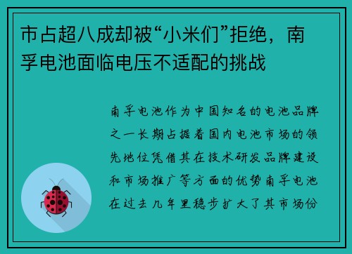 市占超八成却被“小米们”拒绝，南孚电池面临电压不适配的挑战