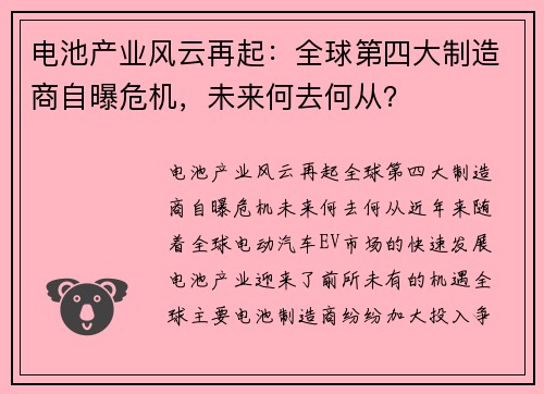 电池产业风云再起：全球第四大制造商自曝危机，未来何去何从？