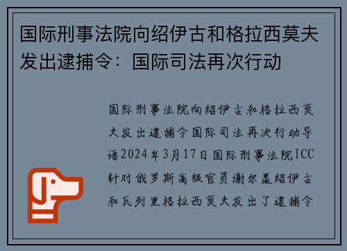 国际刑事法院向绍伊古和格拉西莫夫发出逮捕令：国际司法再次行动