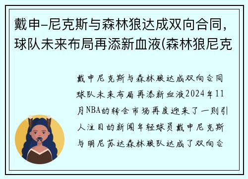 戴申-尼克斯与森林狼达成双向合同，球队未来布局再添新血液(森林狼尼克斯常规赛视频)